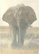 Joshua Spies Fine Art Holds Christmas Sale on Prints